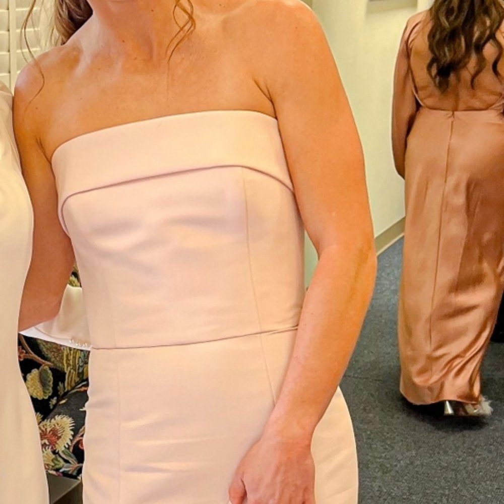 Bella Bridesmaids Amsale Jaylin Dress in Ballet